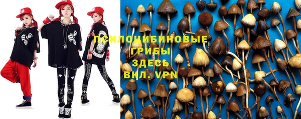 круглые Новодвинск
