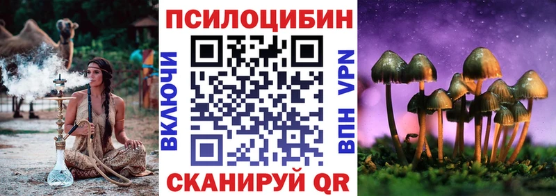 Псилоцибиновые грибы MAGIC MUSHROOMS  МЕГА зеркало  Шлиссельбург 